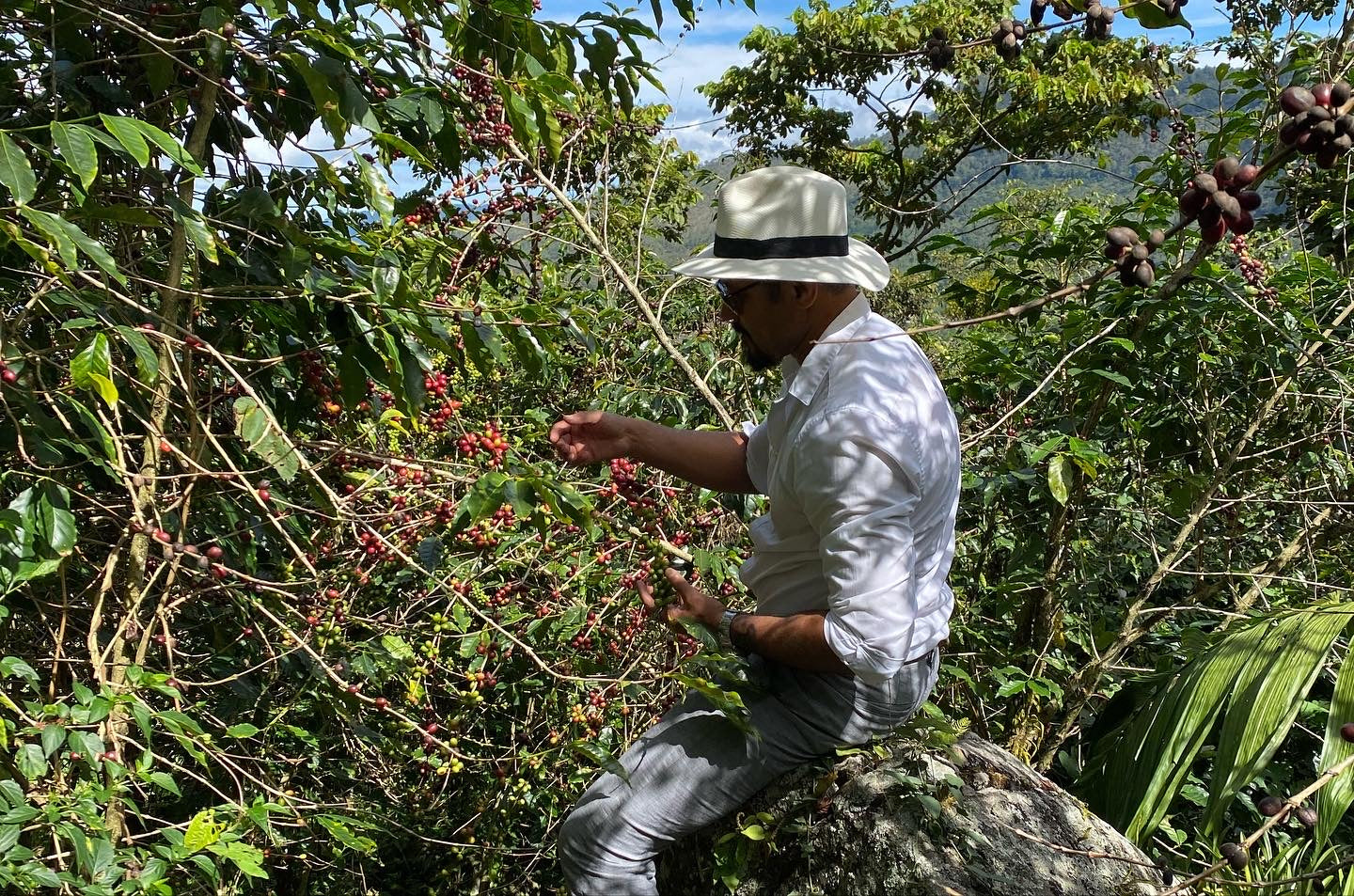 7 Jaguares Dark Roast Coffee