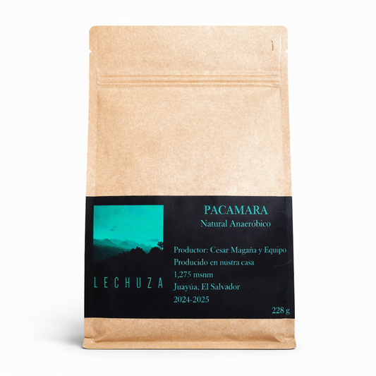 LECHUZA PACAMARA - Floral, Chocolate, Red Berries and Bright Acidity